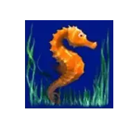 Sea Horse