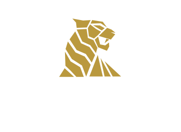 TigerSpin