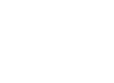 Twin